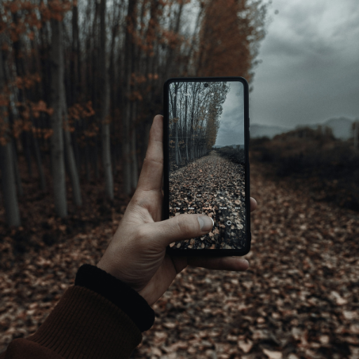 phone in forest for welcome to MJL Digital